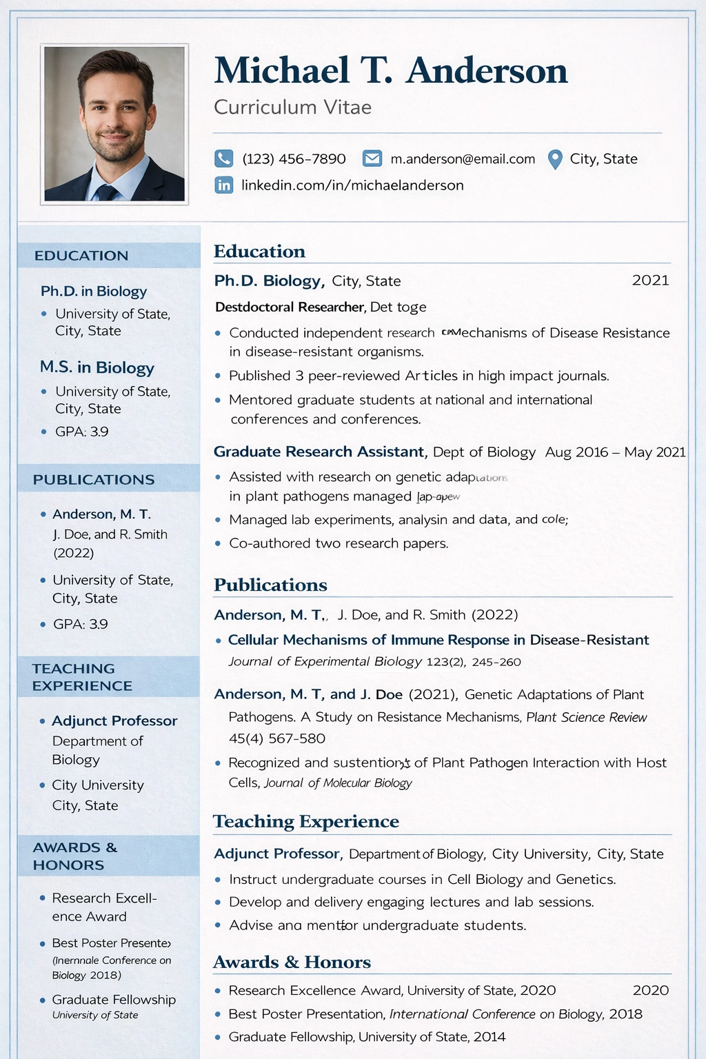 Curriculum Vitae Template Curriculum Vitae Template Word