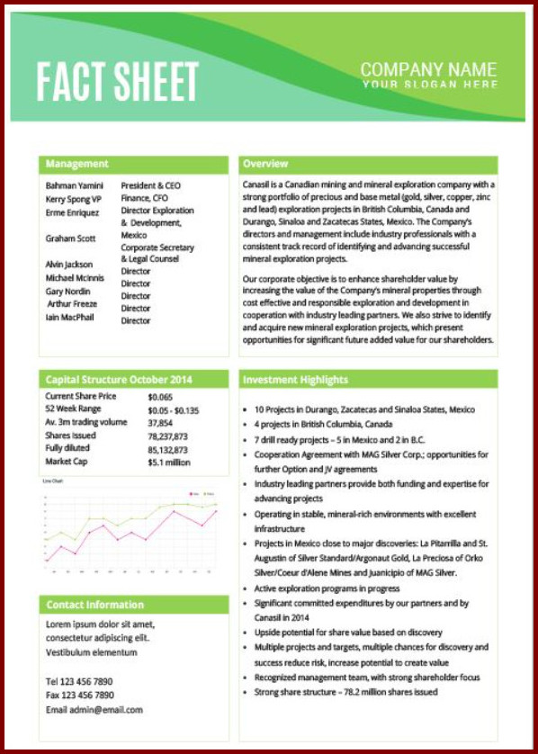Fact Sheet Template Example Fact Sheet Template Example
