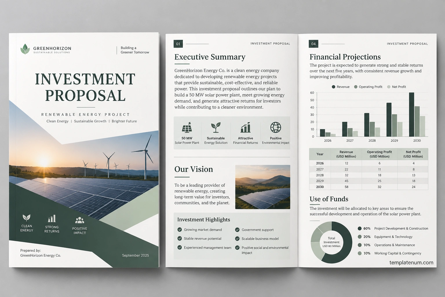 Investment proposal sample featuring an executive summary, renewable energy project overview, financial projections, and use of funds