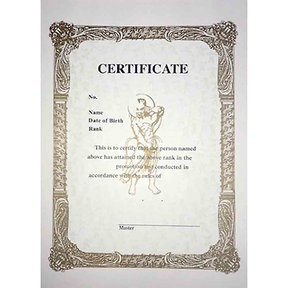sample Martial Art Certificate template sample Martial Art Certificate template